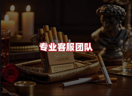 专业团队